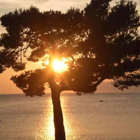 Two-bedroom In - Riviera 6709 *